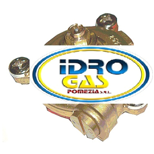 COPERCHIO GRUPPO IDRAULICO SCALDABAGNO JUNKERS