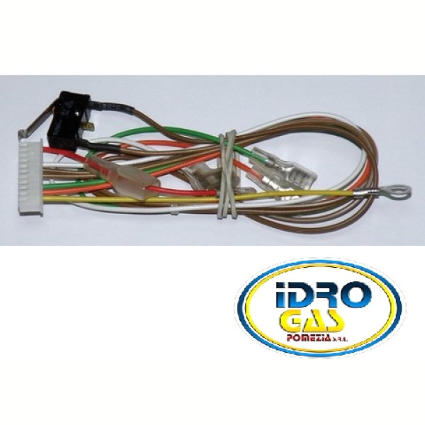 MICROINTERRUTTORE + CABLAGGI SCALDABAGNO MTS